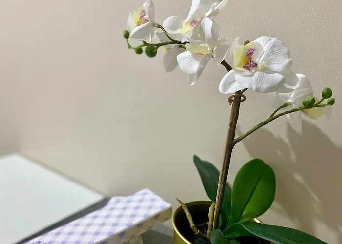 Flat At 101 Newport Boulevard Apartment Manila