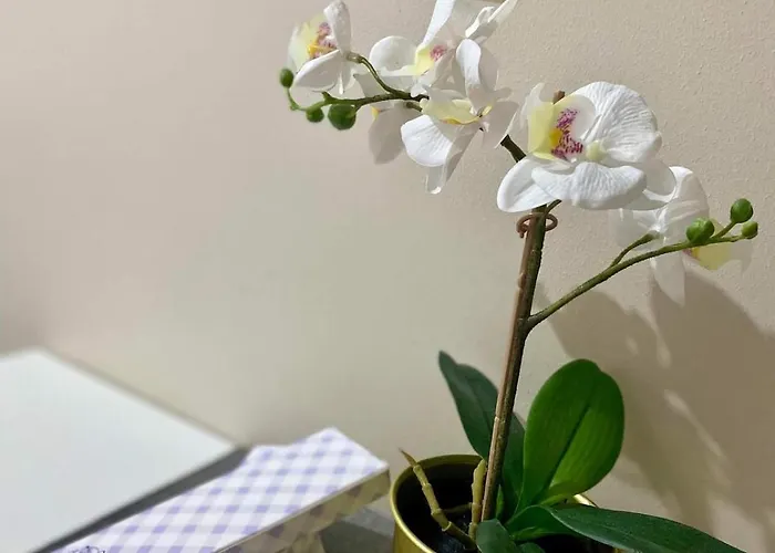 Flat At 101 Newport Boulevard Apartment Manila
